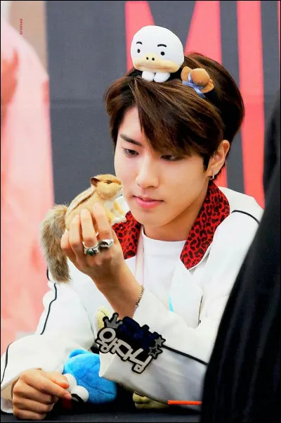 Aimes-tu les choses cute (mignonnes) ?