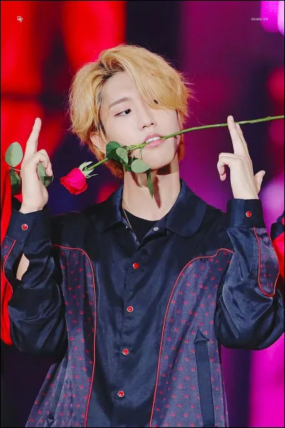 Veux-tu que Han ait un accessoire (exemple : une rose) ou pas ?