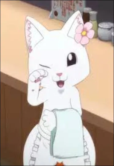 "Ramen Akaneko" : 
Comment s'appelle ce chat ?