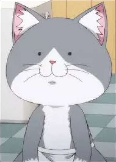 "Ramen Akaneko" : 
Comment s'appelle ce chat ?