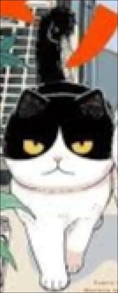 "Chat des rues" : 
Comment s'appelle ce chat ?