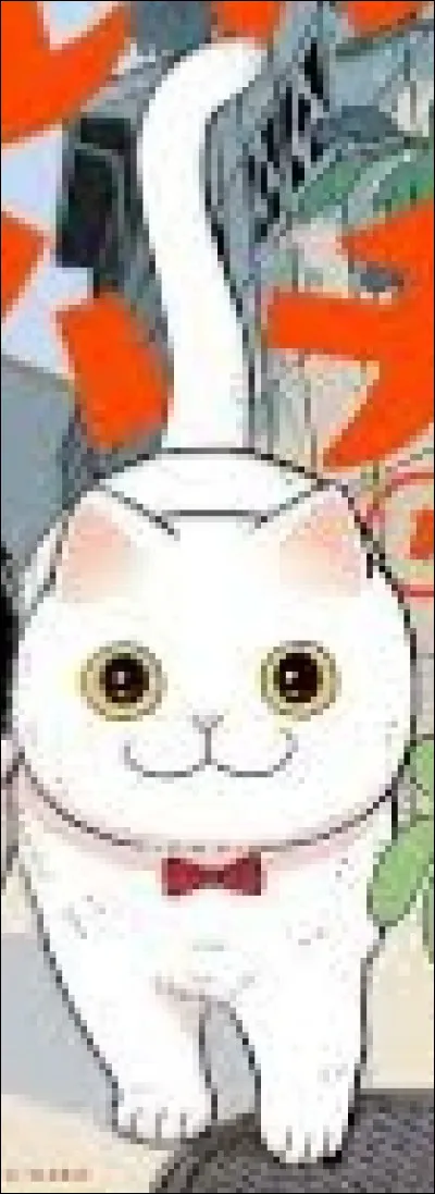 "Chat des rues" : 
Comment s'appelle ce chat ?