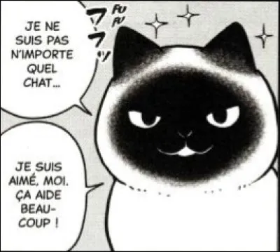 "Chat des rues" : 
Comment s'appelle ce chat ?