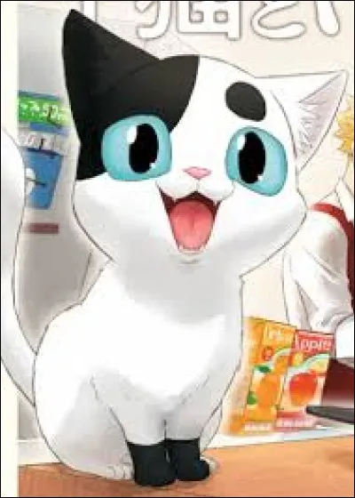 "Chat de Yakuza" : 
Comment s'appelle ce chat ?