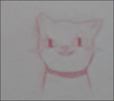 "Chat de Yakuza" : 
Comment s'appelle ce chat ?