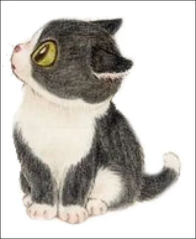 "Plum, un amour de chat" : 
Comment s'appelle ce chat ?