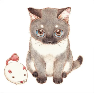 "Plum, un amour de chat" : 
Comment s'appelle ce chat ?