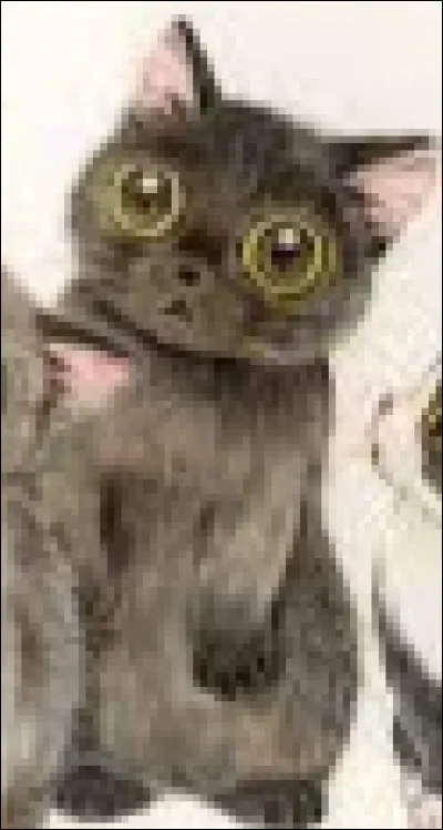 "Plum, un amour de chat" : 
Comment s'appelle ce chat ?