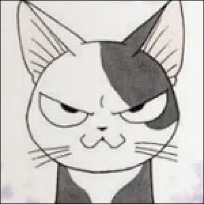 "Chi : une vie de chat '' : 
Comment s'appelle ce chat ?