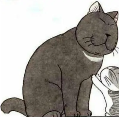 "Chi : une vie de chat '' : 
Comment s'appelle ce chat ?