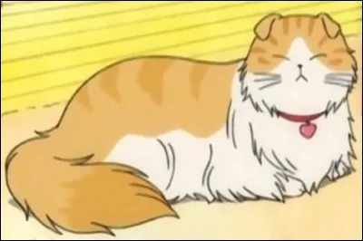 "Chi : une vie de chat '' : 
Comment s'appelle ce chat ?