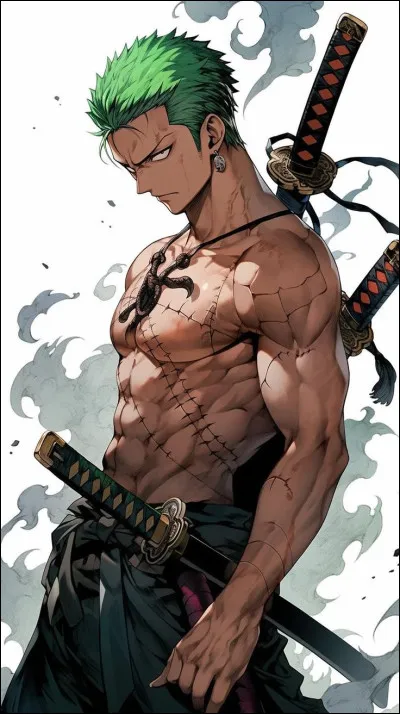 Quels sont les points faibles de Roronoa Zoro ?