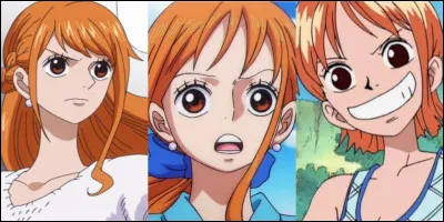Quel est le point faible de Nami ?