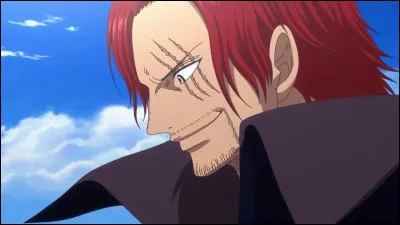 Quels sont les points faibles de Shanks le Roux ?