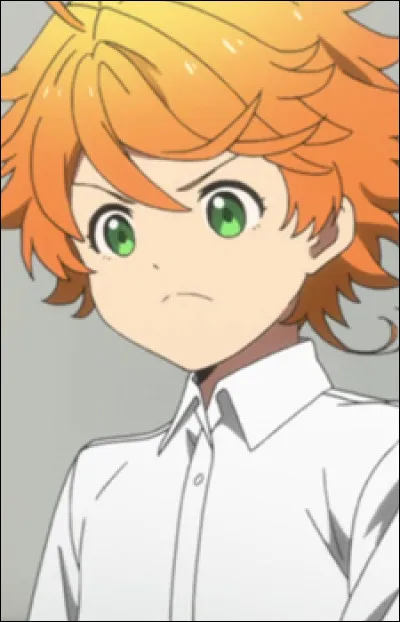 De quel manga ce personnage fait-il partie ?
