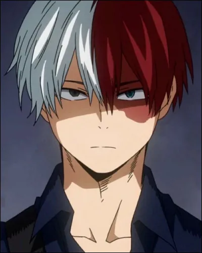 Dans My Hero Academia, quel est le pouvoir de Shoto Todoroki ?