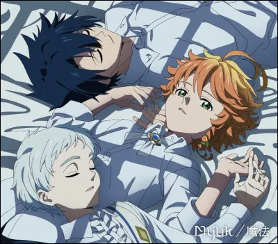 Dans The Promised Neverland, quel est le but de la "promesse" ?