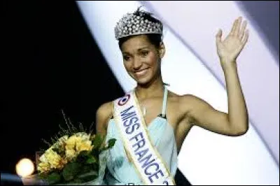 Cindy Fabre a été la Miss France 2015.