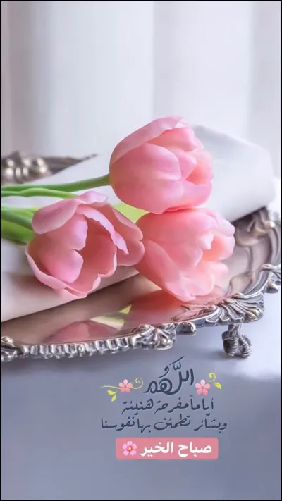 Comment dit-on bonjour en arabe ?