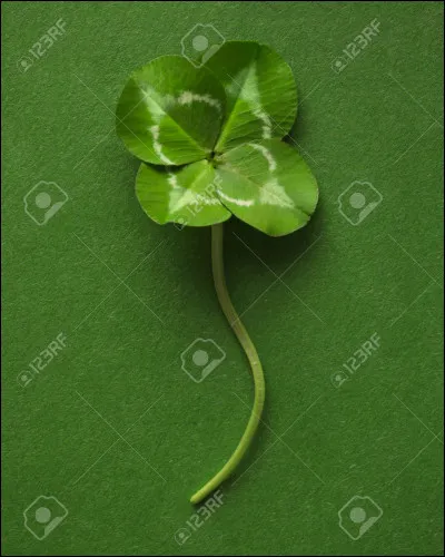 Quel nombre peut être synonyme de chance ou de malchance ?