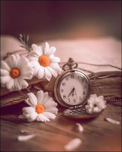 Dans la chanson de Charles Aznavour "La Bohème", il nous parle d'un temps que les moins de 20 ans ne peuvent pas connaître... Quelles fleurs évoque-t-il dans sa chanson qui décrit Paris ?