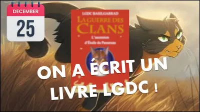 Aimes-tu les longues sagas ?