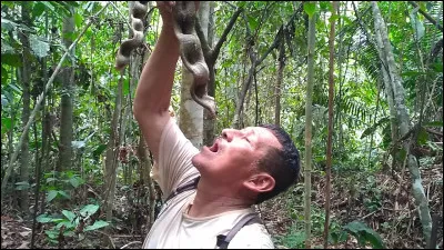 Ca y est, après plusieurs heures de travail, votre abri est terminé et vous avez fait du feu, la nuit tombe tôt toute l'année, vers 18 heures maximum, et vous avez une chose urgente à faire ...
