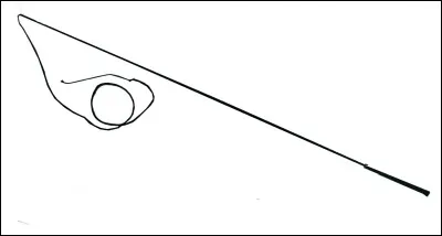 Quel est le nom de cet instrument de frappe, un long fouet utilisé pour dresser les chevaux ?
