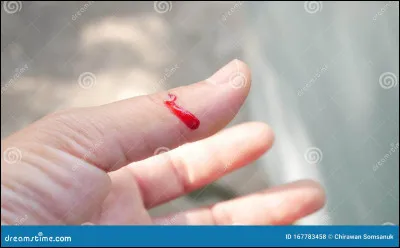 De quelle couleur est le sang ?