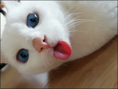 Un ami de la pouponnière devient apprenti avant toi. Comment réagis-tu ?