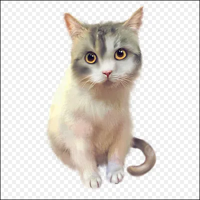 Tu es un/e guerrier/ère. Tu veux que ton nom ait un rapport :