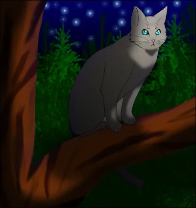 Qui a aimé Fleur de Saule ?