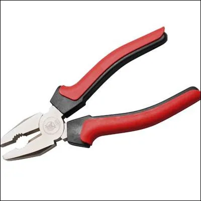 Quel arachnide se distingue des autres arachnides par le fait qu�il poss&egrave;de des pinces ?