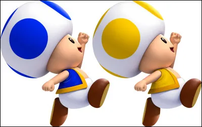 Quel est le nom du royaume dans lequel Mario vit ?