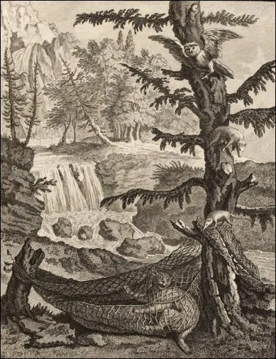 Quel animal est mis en scène avec le Chat dans l'une des fables de Jean de La Fontaine ?