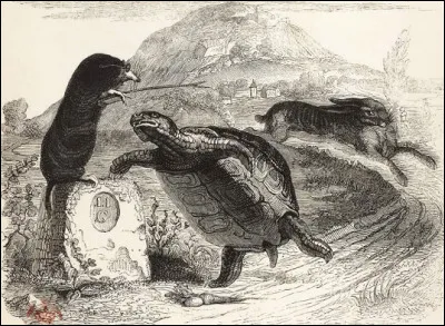 Quel animal est mis en scène avec le Lièvre dans l'une des fables de Jean de La Fontaine ?