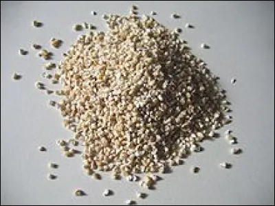 Qu'est-ce que le SK 6000 ?