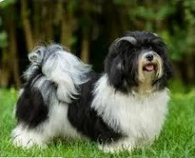 Dernière question, qui suis-je ?