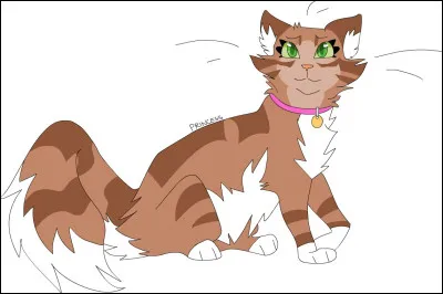 Comment sappelle le chat domestique qui leur a sauvé la vie, à lui et sa sur ?