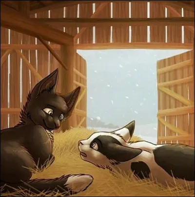 Et pour finir, passons à la partie de leur vie commune. Quel est l'aliment qui est au menu pour la plupart de leurs repas ?