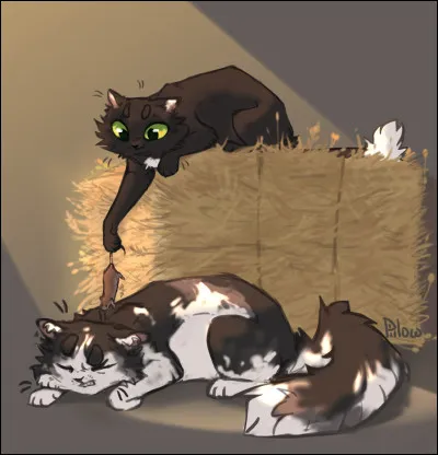 Et quest-ce qui advient de Nuage de Jais ?