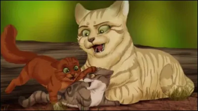 Quel chat fait partie de sa fratrie ? (1)