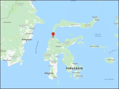 Ile du Nord d'Indonésie, j'ai la particularité d'être en forme de "K". En indonésien, mon nom est "Sulawesi". Il s'agit de l'île de :