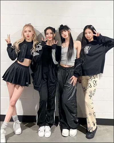 Blackpink est un autre groupe très connu. Qui sont ses membres ?