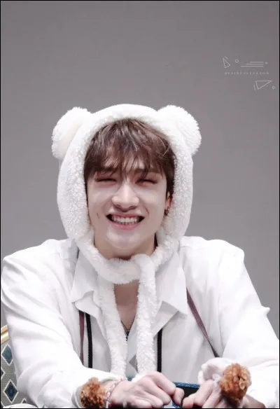 Quel style préfères-tu ?