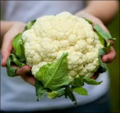 Quel est le nom de ce légume ?