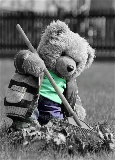 À quel écrivain doit-on les mots "Il faut cultiver son jardin" ?