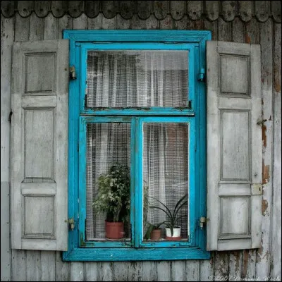 Qui fut le réalisateur du film à suspense "Fenêtre sur cour" ?