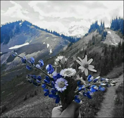 Dans quel massif ou chaîne de montagne est située la station des Deux-Alpes ?