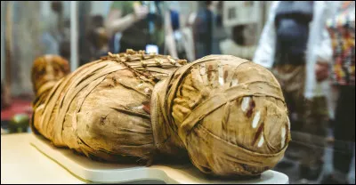 Comment Enkidu meurt-il ?